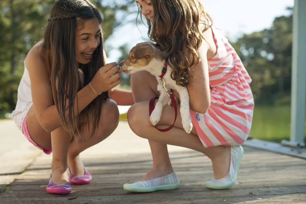 cachorro ideal para criança