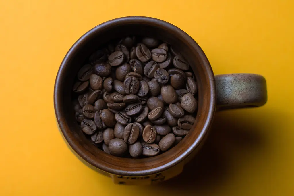 comidas que cachorro não pode comer: café ou cafeina