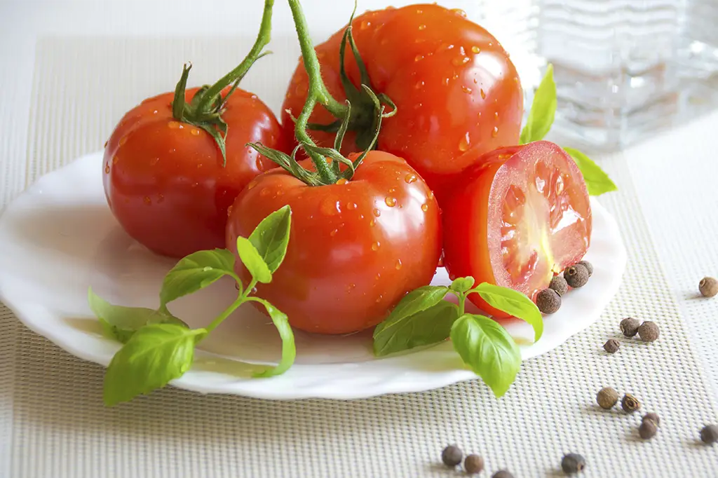 pode dar tomate para cachorro